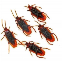 mainan_serangga_plastik_kecoa___kelabang___laba_laba1